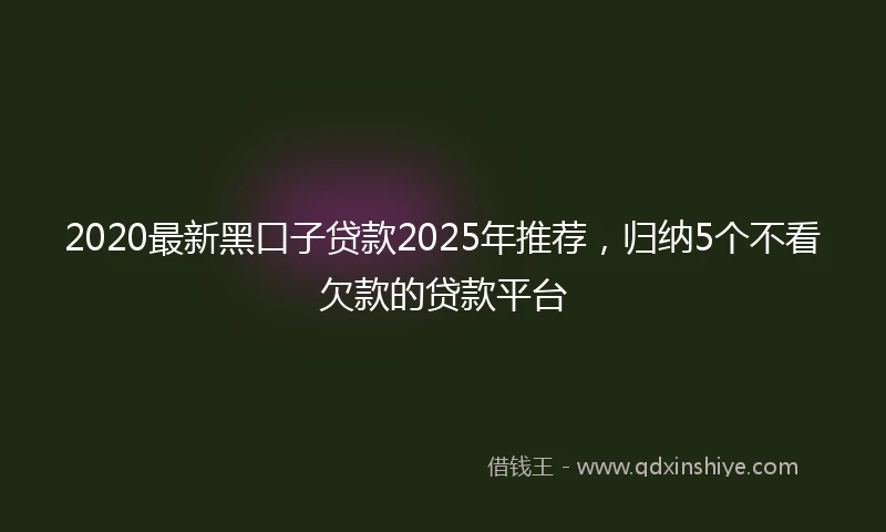 2020最新黑口子贷款2025年推荐，归纳5个不看欠款的贷款平台