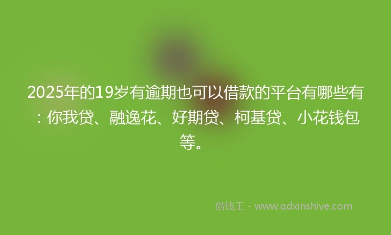 2025年的19岁有逾期也可以借款的平台有哪些有：你我贷、融逸花、好期贷、柯基贷、小花钱包等。