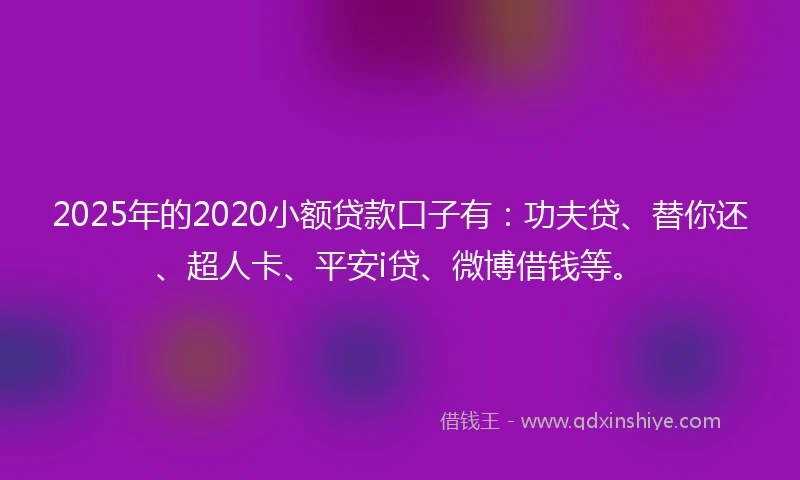 2025年的2020小额贷款口子有：功夫贷、替你还、超人卡、平安i贷、微博借钱等。