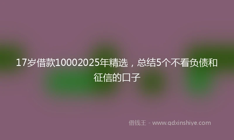 17岁借款10002025年精选，总结5个不看负债和征信的口子