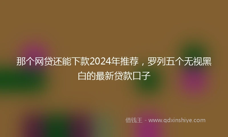 那个网贷还能下款2024年推荐，罗列五个无视黑白的最新贷款口子