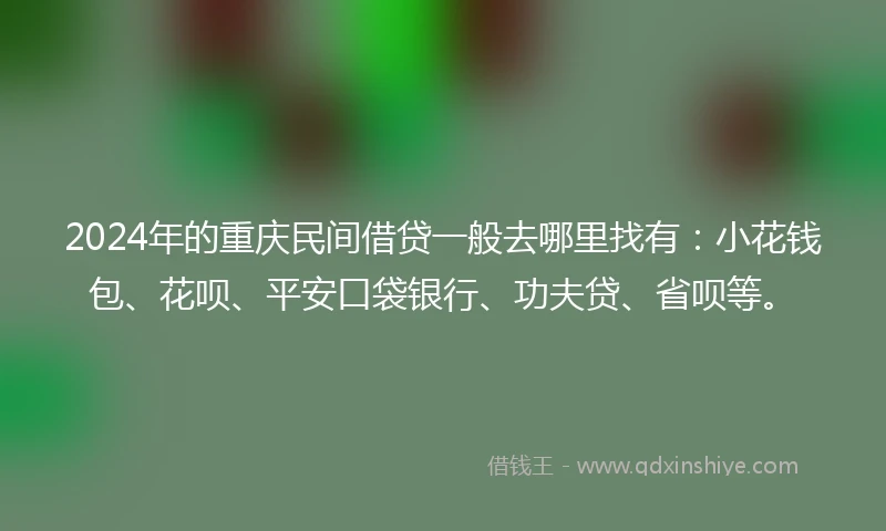 2024年的重庆民间借贷一般去哪里找有：小花钱包、花呗、平安口袋银行、功夫贷、省呗等。