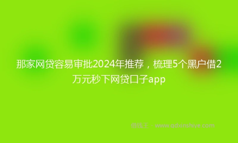 那家网贷容易审批2024年推荐，梳理5个黑户借2万元秒下网贷口子app
