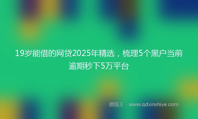19岁能借的网贷2025年精选，梳理5个黑户当前逾期秒下5万平台