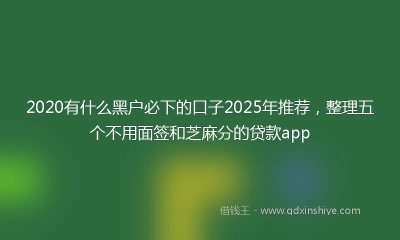 2020有什么黑户必下的口子2025年推荐，整理五个不用面签和芝麻分的贷款app