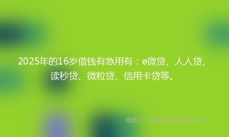 2025年的16岁借钱有急用有：e微贷、人人贷、读秒贷、微粒贷、信用卡贷等。