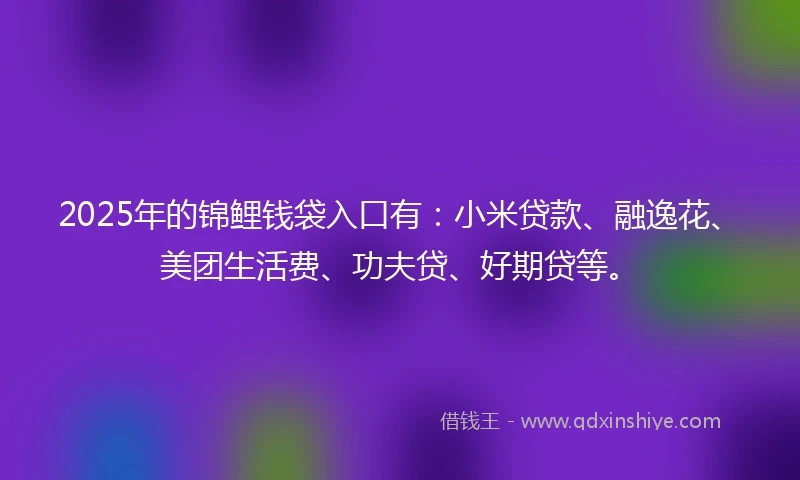 2025年的锦鲤钱袋入口有：小米贷款、融逸花、美团生活费、功夫贷、好期贷等。