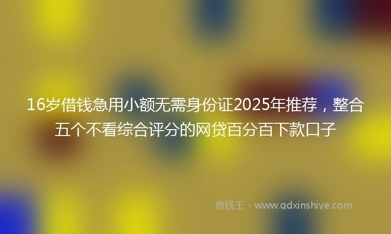 16岁借钱急用小额无需身份证2025年推荐，整合五个不看综合评分的网贷百分百下款口子