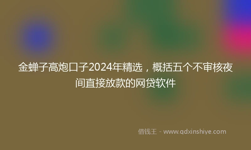 金蝉子高炮口子2024年精选，概括五个不审核夜间直接放款的网贷软件