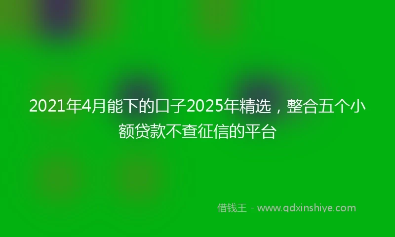 2021年4月能下的口子2025年精选，整合五个小额贷款不查征信的平台