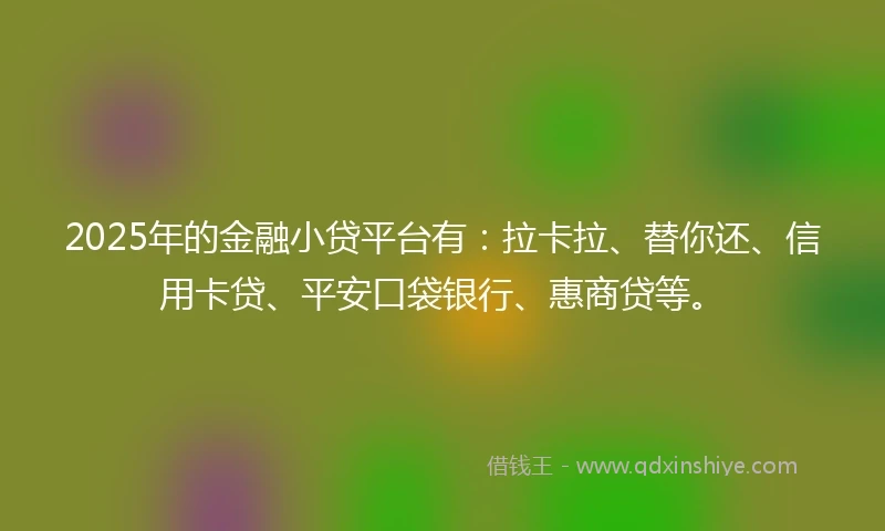 2025年的金融小贷平台有：拉卡拉、替你还、信用卡贷、平安口袋银行、惠商贷等。