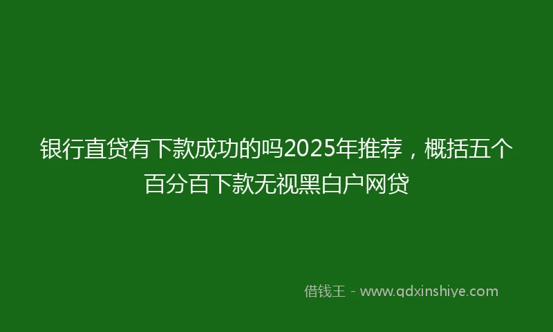 银行直贷有下款成功的吗2025年推荐，概括五个百分百下款无视黑白户网贷