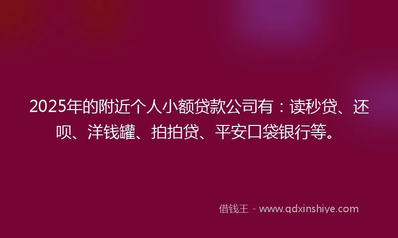 2025年的附近个人小额贷款公司有：读秒贷、还呗、洋钱罐、拍拍贷、平安口袋银行等。