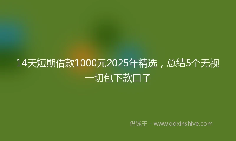 14天短期借款1000元2025年精选，总结5个无视一切包下款口子