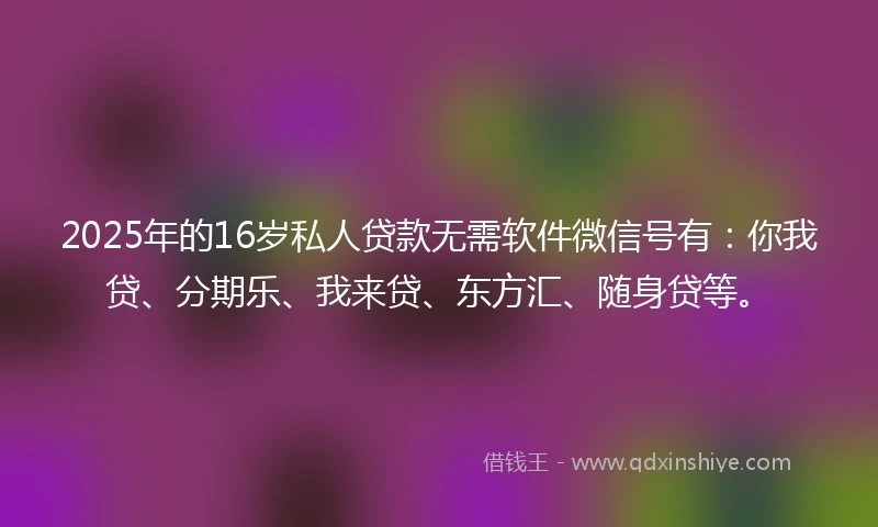 2025年的16岁私人贷款无需软件微信号有：你我贷、分期乐、我来贷、东方汇、随身贷等。