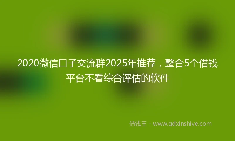 2020微信口子交流群2025年推荐，整合5个借钱平台不看综合评估的软件