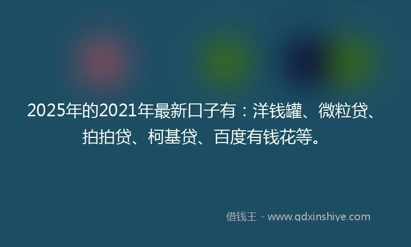 2025年的2021年最新口子有：洋钱罐、微粒贷、拍拍贷、柯基贷、百度有钱花等。