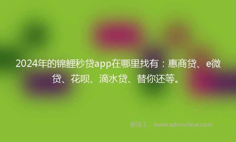2024年的锦鲤秒贷app在哪里找有：惠商贷、e微贷、花呗、滴水贷、替你还等。