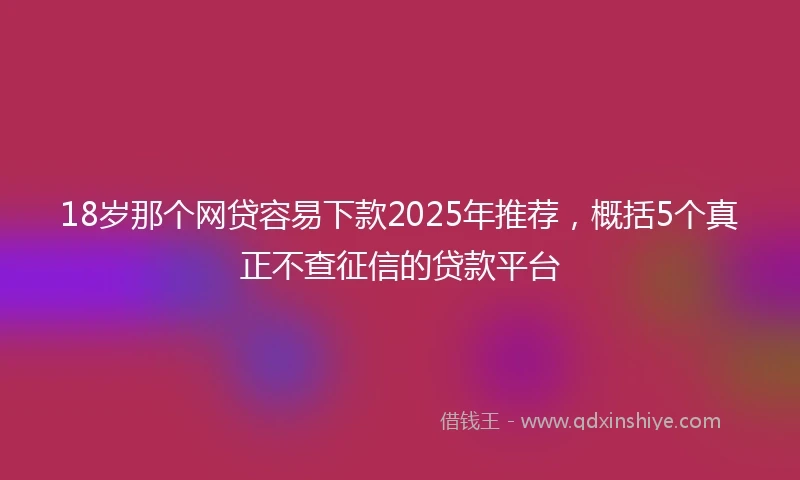 18岁那个网贷容易下款2025年推荐，概括5个真正不查征信的贷款平台
