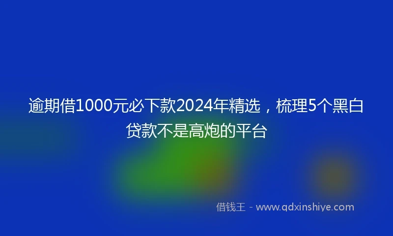 逾期借1000元必下款2024年精选，梳理5个黑白贷款不是高炮的平台