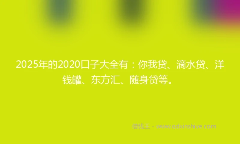 2025年的2020口子大全有：你我贷、滴水贷、洋钱罐、东方汇、随身贷等。