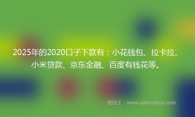 2025年的2020口子下款有：小花钱包、拉卡拉、小米贷款、京东金融、百度有钱花等。