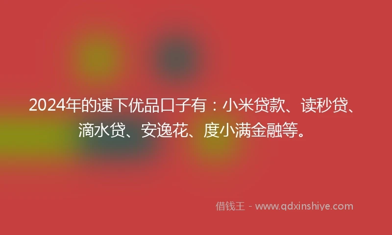 2024年的速下优品口子有：小米贷款、读秒贷、滴水贷、安逸花、度小满金融等。