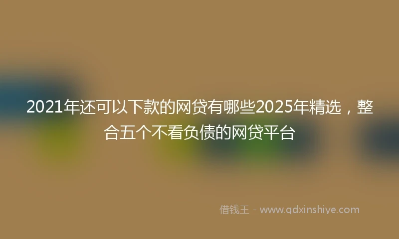 2021年还可以下款的网贷有哪些2025年精选，整合五个不看负债的网贷平台