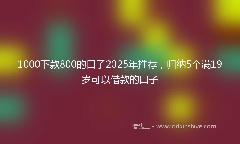 1000下款800的口子2025年推荐，归纳5个满19岁可以借款的口子