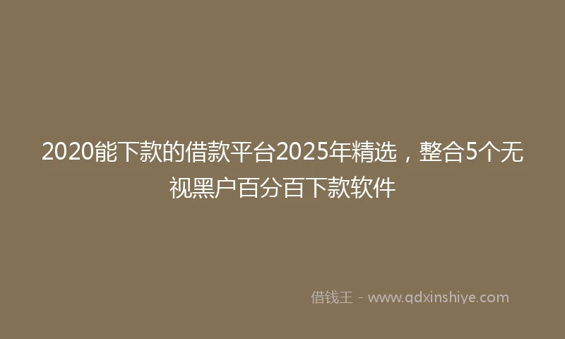 2020能下款的借款平台2025年精选，整合5个无视黑户百分百下款软件