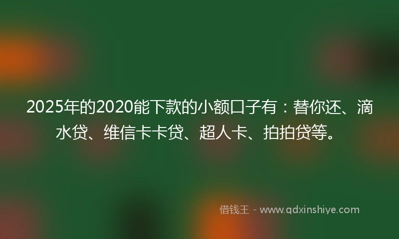 2025年的2020能下款的小额口子有：替你还、滴水贷、维信卡卡贷、超人卡、拍拍贷等。