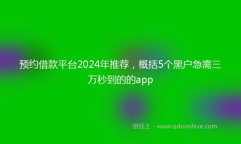 预约借款平台2024年推荐，概括5个黑户急需三万秒到的的app