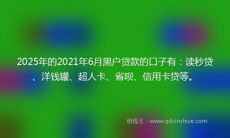 2025年的2021年6月黑户贷款的口子有：读秒贷、洋钱罐、超人卡、省呗、信用卡贷等。