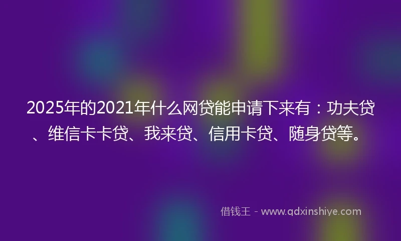 2025年的2021年什么网贷能申请下来有：功夫贷、维信卡卡贷、我来贷、信用卡贷、随身贷等。