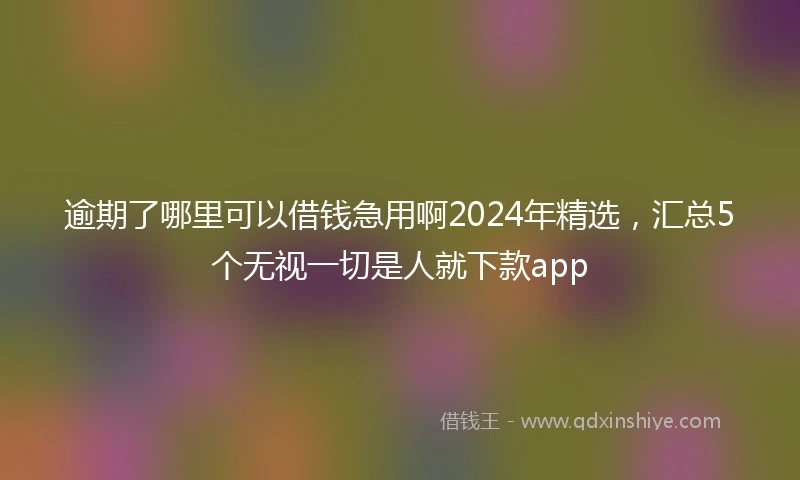 逾期了哪里可以借钱急用啊2024年精选，汇总5个无视一切是人就下款app