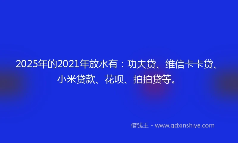 2025年的2021年放水有：功夫贷、维信卡卡贷、小米贷款、花呗、拍拍贷等。