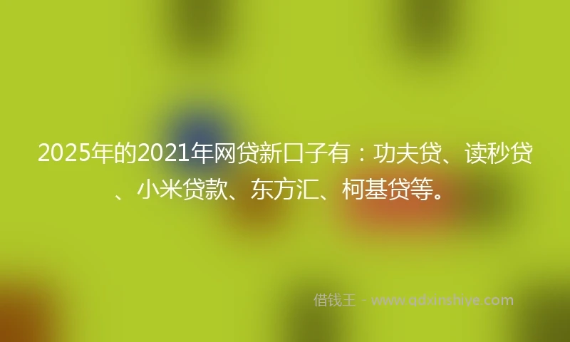 2025年的2021年网贷新口子有：功夫贷、读秒贷、小米贷款、东方汇、柯基贷等。