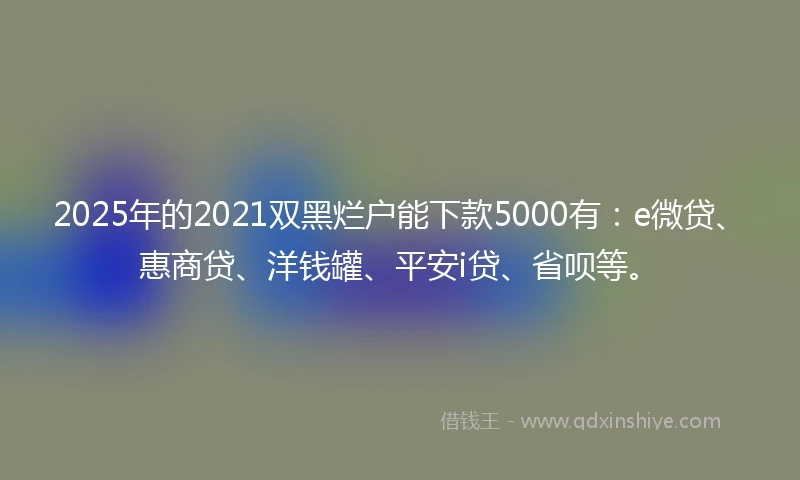 2025年的2021双黑烂户能下款5000有：e微贷、惠商贷、洋钱罐、平安i贷、省呗等。