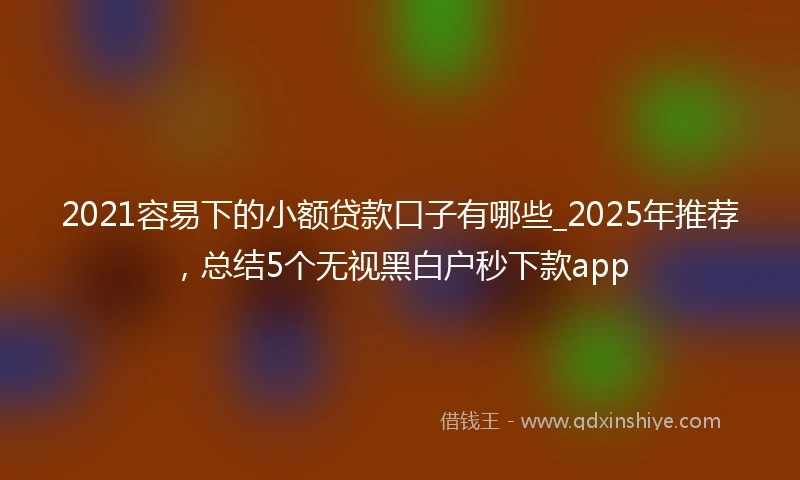 2021容易下的小额贷款口子有哪些_2025年推荐，总结5个无视黑白户秒下款app