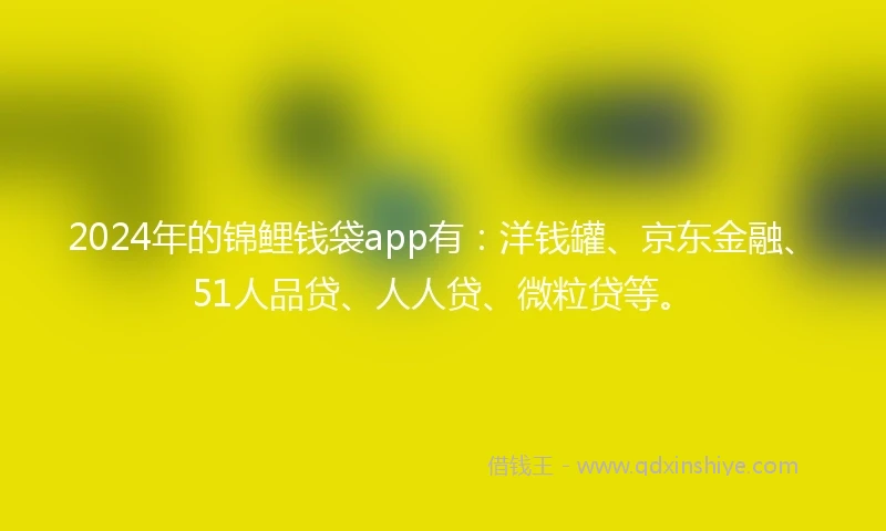 2024年的锦鲤钱袋app有：洋钱罐、京东金融、51人品贷、人人贷、微粒贷等。