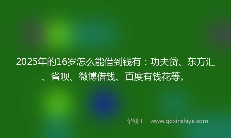 2025年的16岁怎么能借到钱有：功夫贷、东方汇、省呗、微博借钱、百度有钱花等。