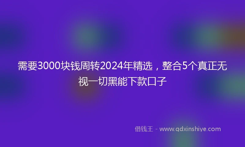 需要3000块钱周转2024年精选，整合5个真正无视一切黑能下款口子