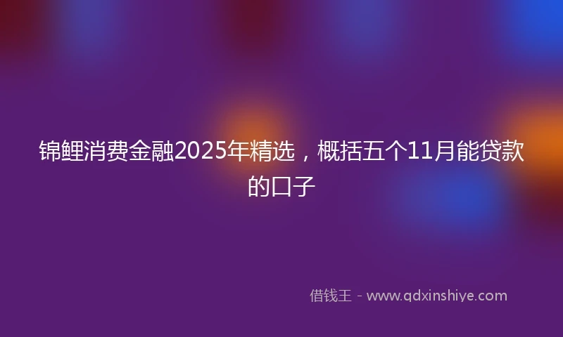 锦鲤消费金融2025年精选，概括五个11月能贷款的口子
