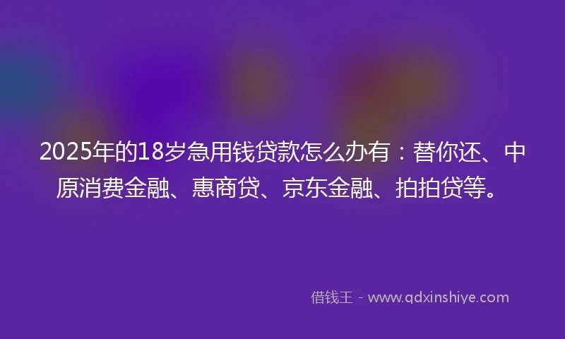 2025年的18岁急用钱贷款怎么办有：替你还、中原消费金融、惠商贷、京东金融、拍拍贷等。