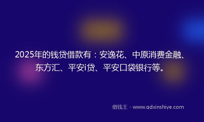 2025年的钱贷借款有：安逸花、中原消费金融、东方汇、平安i贷、平安口袋银行等。
