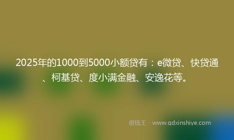 2025年的1000到5000小额贷有：e微贷、快贷通、柯基贷、度小满金融、安逸花等。