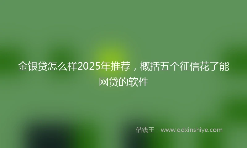金银贷怎么样2025年推荐，概括五个征信花了能网贷的软件