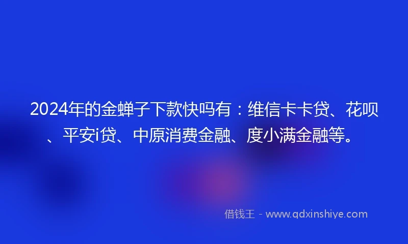 2024年的金蝉子下款快吗有：维信卡卡贷、花呗、平安i贷、中原消费金融、度小满金融等。