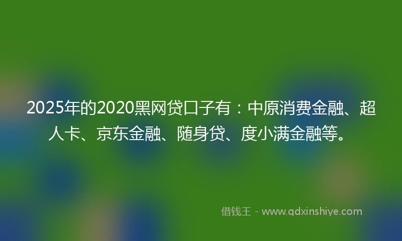2025年的2020黑网贷口子有：中原消费金融、超人卡、京东金融、随身贷、度小满金融等。