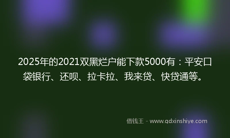2025年的2021双黑烂户能下款5000有：平安口袋银行、还呗、拉卡拉、我来贷、快贷通等。